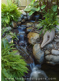 The Sound Of A Water Garden Is Compelling