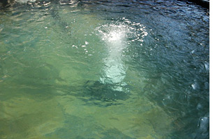 Working drain in a running pond