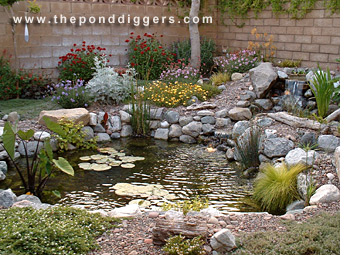 Learn How To Build A Pond