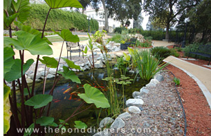 California Pond Construction