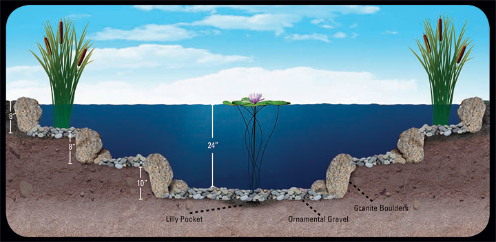 Water Garden Construction Detail