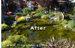 The Proper Pond Design is essential to success