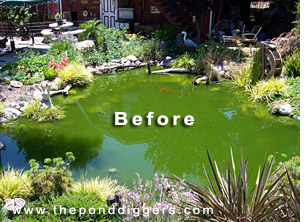 A Pond gone wrong turned around by The Pond Diggers