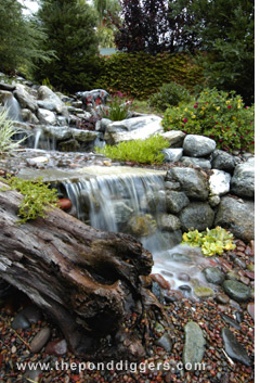 Backyard waterfall stream