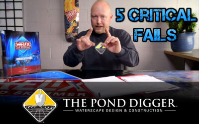5 Fall Pond Care Mistakes You Might Be Making