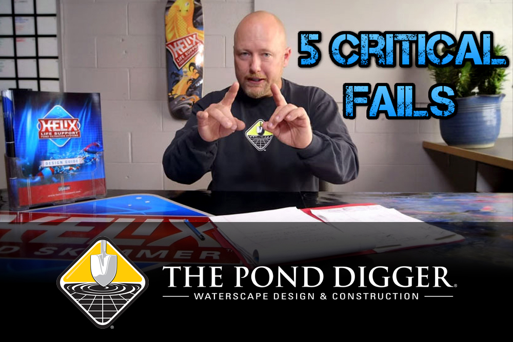 5 Fall Pond Care Mistakes You Might Be Making