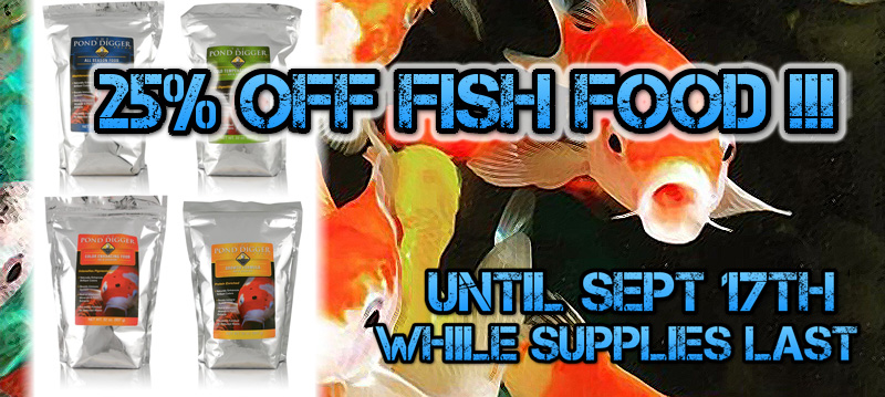 fish-food-sale