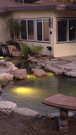 floating steps for my first pond build
