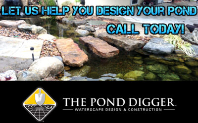 9 Things I Wish I Knew Before My First Pond Build