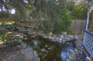 pond-front