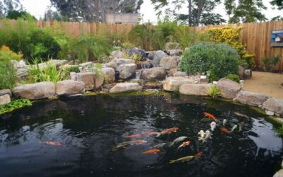 DREAM POND DESIGN SECRETS