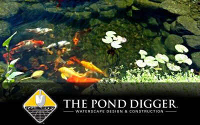 The First Thing A Pond Pro Notices When He Sees Your Pond