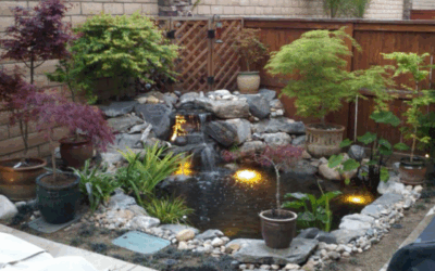 The Pond I Didn’t Know I Needed