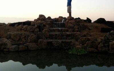 Left or Right, You Need a Pond!