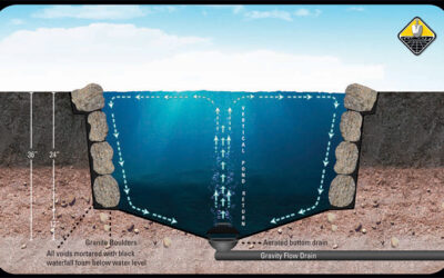OUTRAGEOUS POND LIES