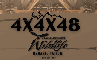An Extreme Challenge Supporting Wildlife