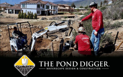 To Remodel Your Pond Or Not?