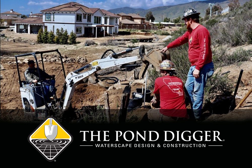To Remodel Your Pond Or Not?