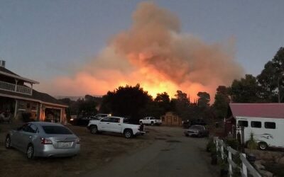 Keeping Your Pond Safe During Fire Season
