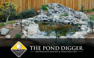 Avoid These 3 Common Pond Building Mistakes