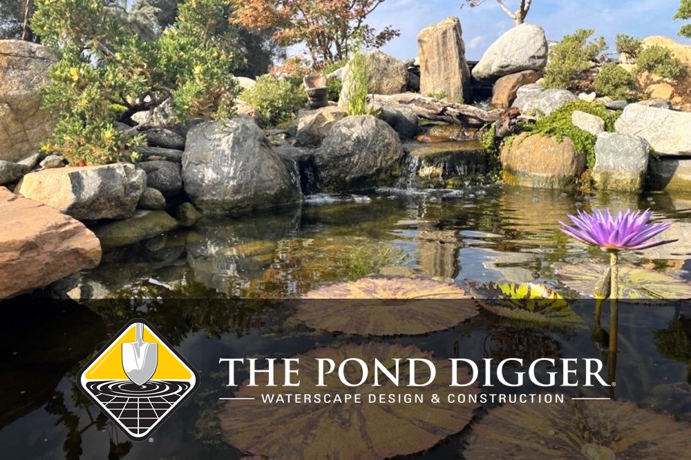 Pond Owners Beware: 6 Things You Should NEVER Do!