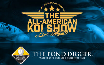 Viva Las Koi! The All American Koi Show is a Must-See