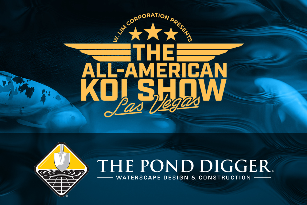 koi show