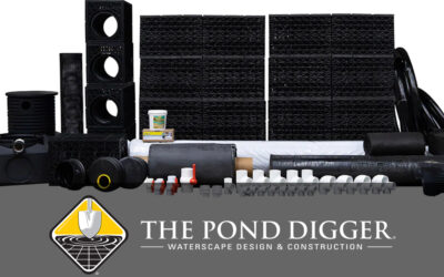 Swim Ponds: Chemical-Free Backyard Luxury